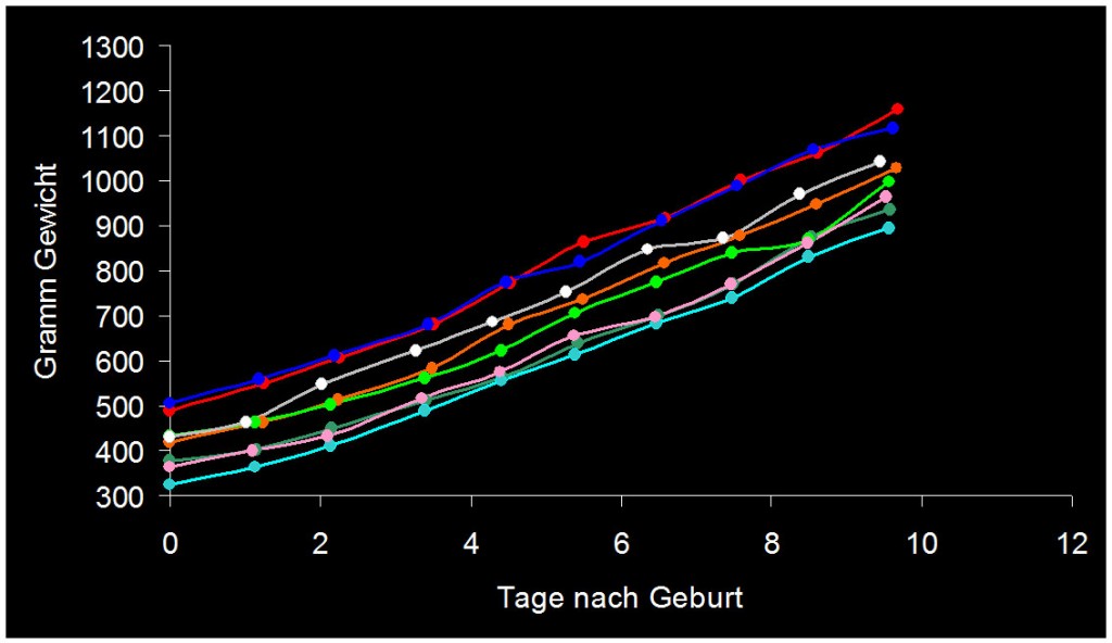 gewichte 9.5 black Kopie