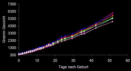 gewichte 20.6